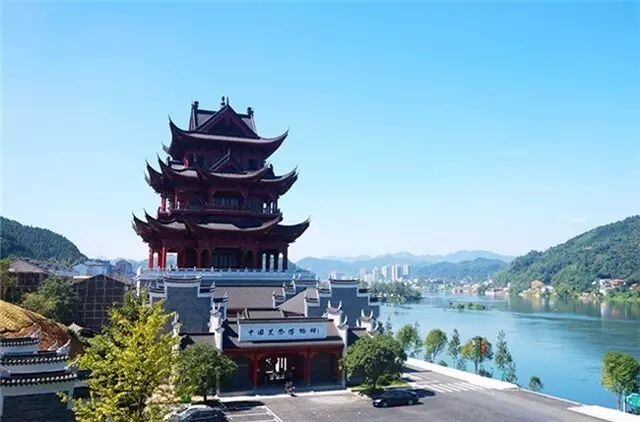 安化黑茶四大独特之美，美得让人惊叹不已......