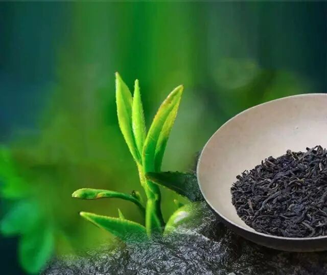 黑茶是如何造假的？