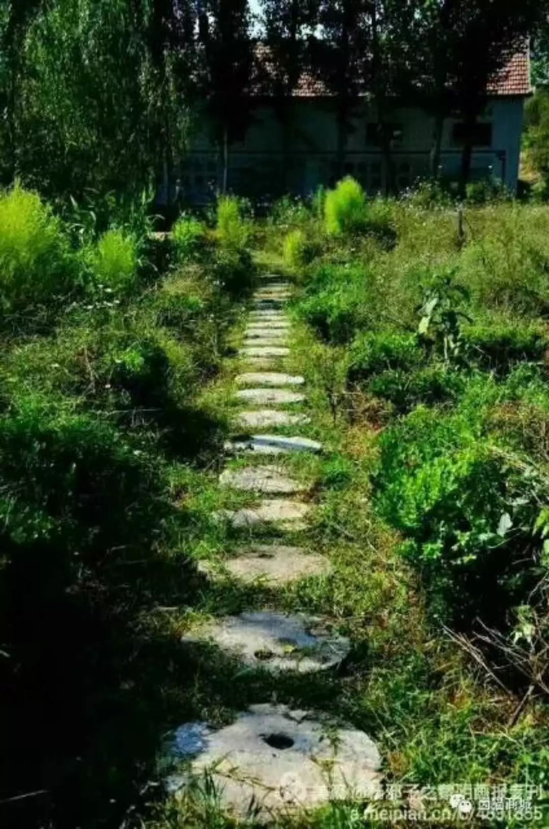 虎的巨山和卧虎山为其门护,东南和西南分别有形如龙,东山居于左,大方