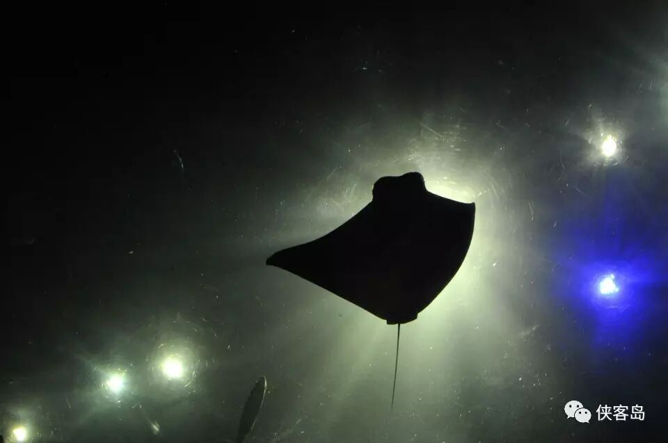 官媒解读党内法规制定条例:把纪委的权力关进笼子