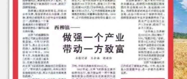人民日报头版点赞西柳镇:做强一个产业,带动一方致富