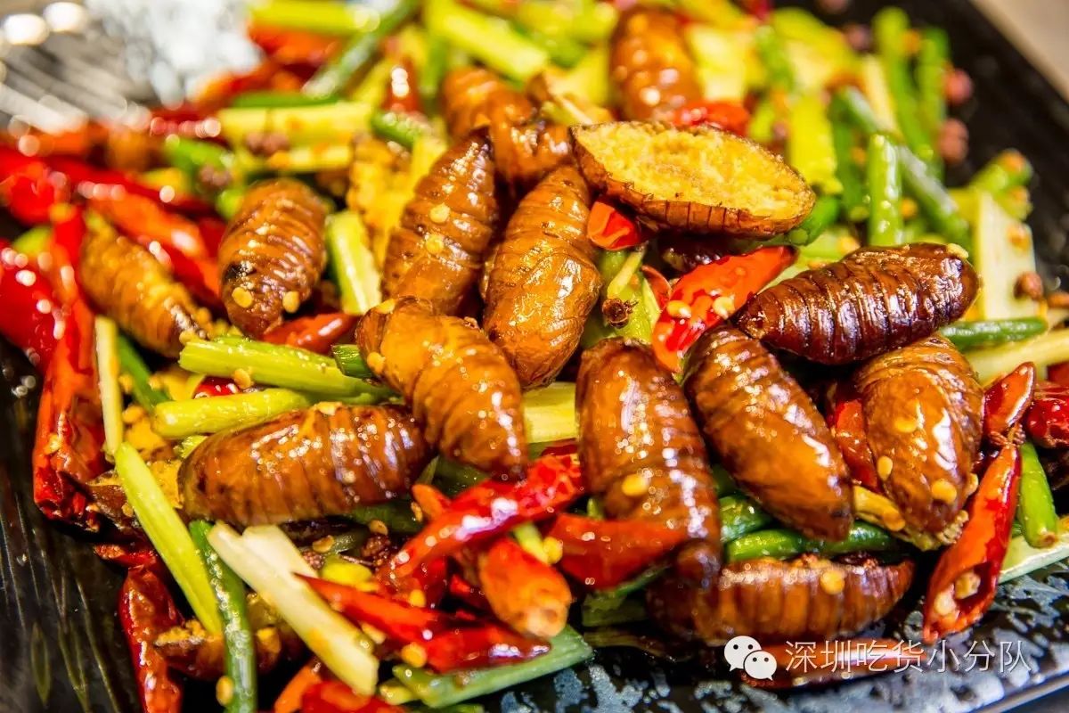 干煸的做法,竟让我这个不敢吃蝉蛹的人,勇敢地尝试了1颗,2颗,3颗.