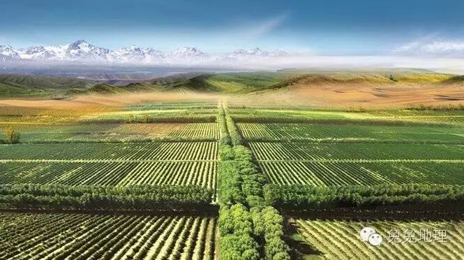 地球陆地面积_人均占有陆地面积(2)