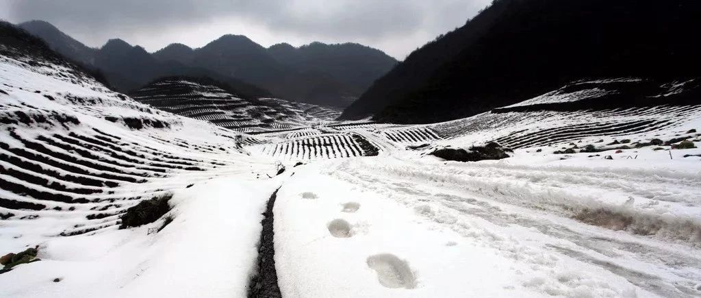 【天府散文】亦笑天||南国春光北国雪