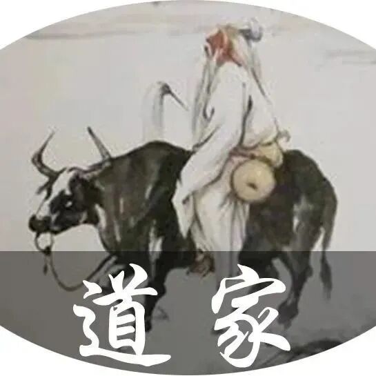 世间最好的养生：忘