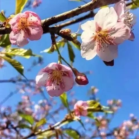 浪险!澄海多了几个洋气的新名字!然而还有这些坏消息.....