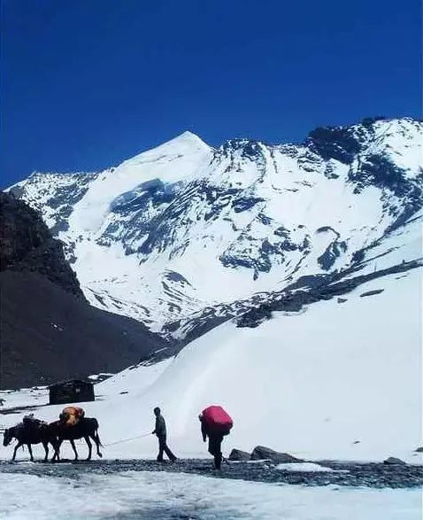 冷线丨雪宝顶西壁攀登是一条怎样的路线