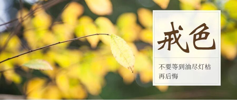 纵欲、手淫、遗精、伤精者恢复方法