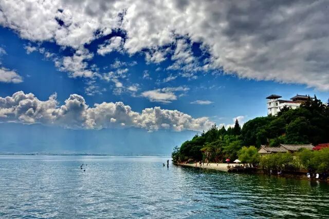 ️你敢相信这种网球是一个怀孕2个月的女人打出来的吗? | 重温澳网女单决赛精彩瞬间