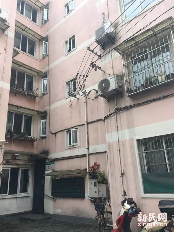 新民晚报首席记者