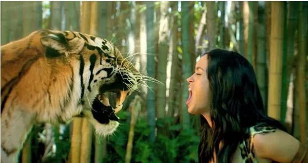 歌曲欣赏 Katy Perry - Roar