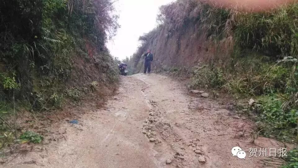致富经泥鳅养殖视频全集_致富泥鳅养殖_致富经泥鳅