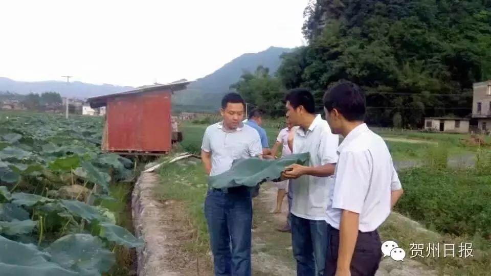 致富经泥鳅养殖视频全集_致富泥鳅养殖_致富经泥鳅