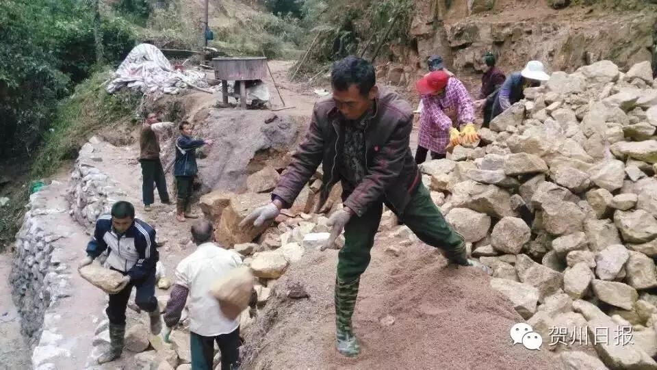 致富泥鳅养殖_致富经泥鳅_致富经泥鳅养殖视频全集