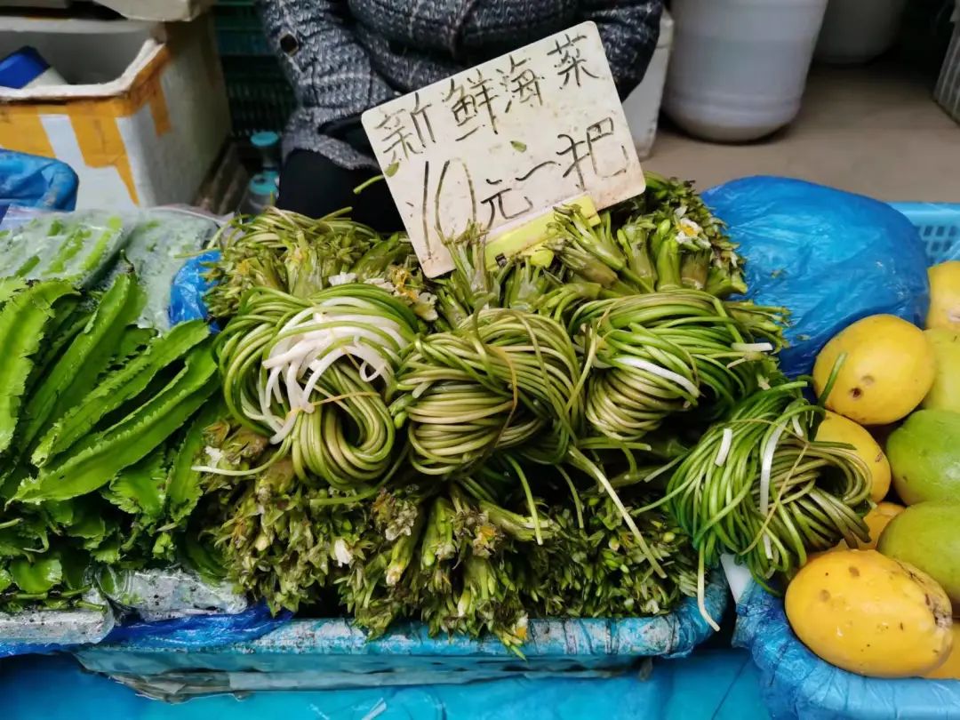 都安海菜花几月开花_春菜花春菜花 影音先锋_海菜花