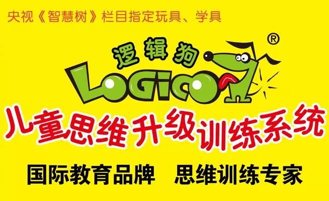 逻辑狗儿童思维训练学具