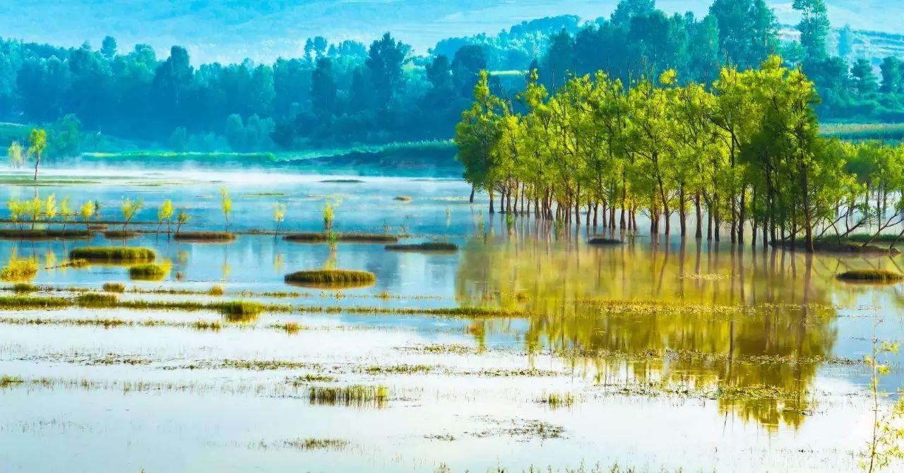 拍摄要点: 1,冬日"念湖"的薄雾美景,是大自然的恩赐,可遇可等不可求