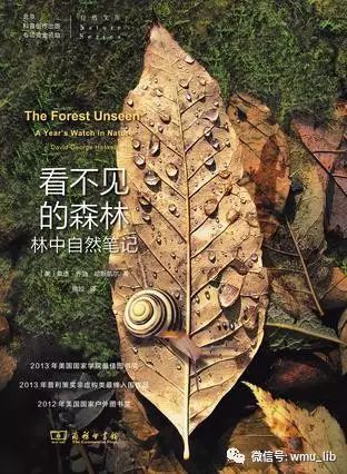 凯尔顿豪庭酒店_凯尔格训练法_斯凯尔