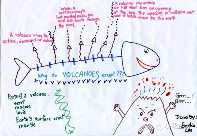这是一个三年级男孩做的鱼骨图,用来分析引起火山爆发的多种原因.