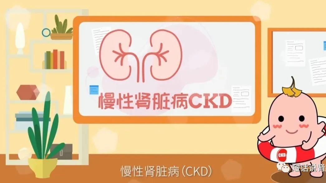 ckd 分期