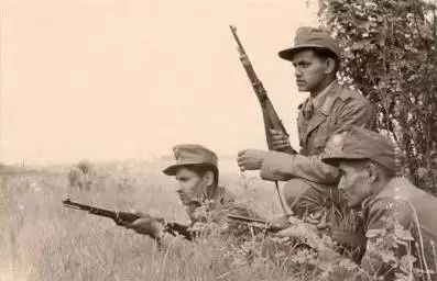 二战时期无处不在的印度兵：一打就垮，一输就降 - 22