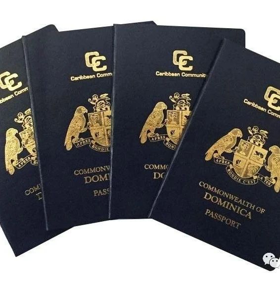 圣基茨护照，1个月批复，2个月拿护照，无需登陆