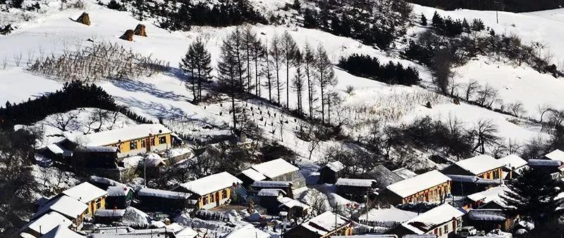 乘坐绿皮火车驶往雪村的冬天