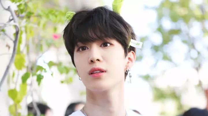 范丞丞:先生,你被保护出一张干净的脸