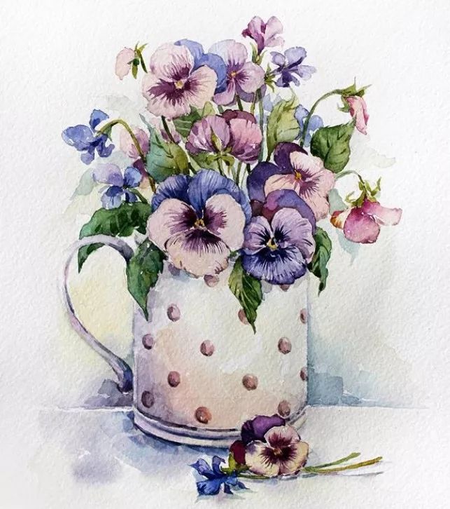 爱好者 尤其擅长水彩画 最喜欢的就是花卉 而且,到最后一定会加上花瓶
