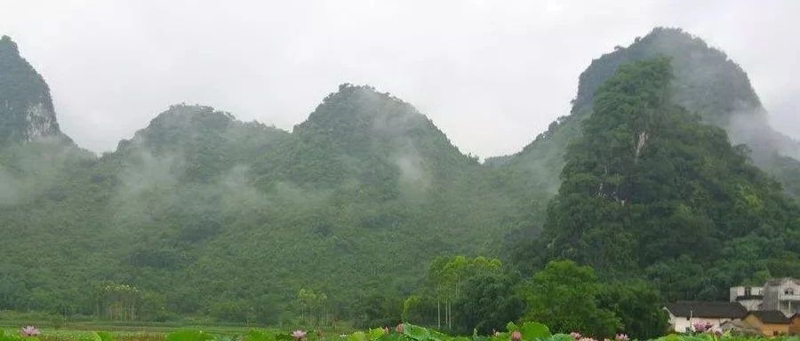 作文的整体架构至关重要 以想象作文 绿水青山图 升格示范为例 雷其坤写作教学研究室 微信公众号文章阅读 Wemp