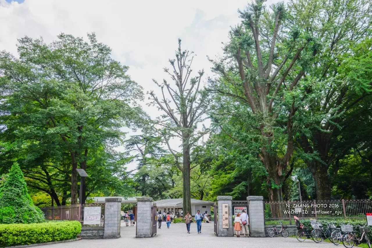 东京 新宿御苑 一边写诗一边旅行 微文库