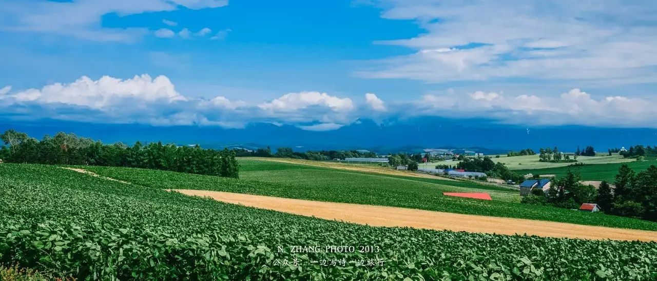 美瑛 北國大地的七彩拼圖 一邊寫詩一邊旅行 微文庫