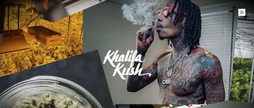 Wiz Khalifa说他一生只爱一件事情,那就是......