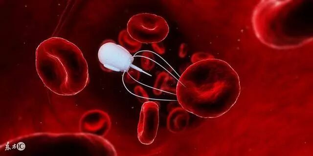 血脂高还有颈动脉斑块，服用他汀类和贝特类降脂药哪个好？