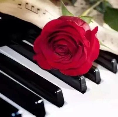 世界上最美的钢琴曲之一《Kiss The Rain》
