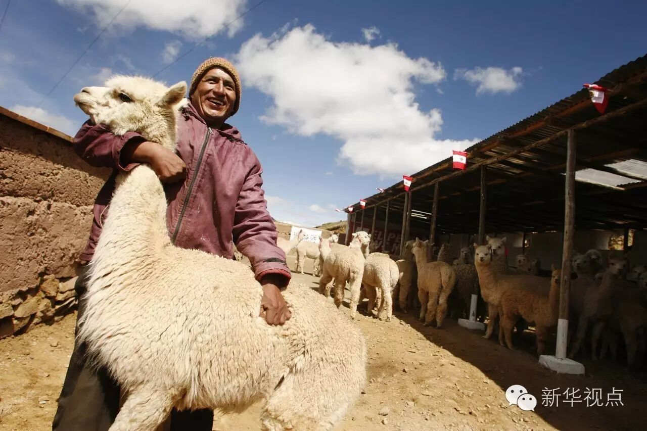 习主席出访的拉美三国，你知道多少