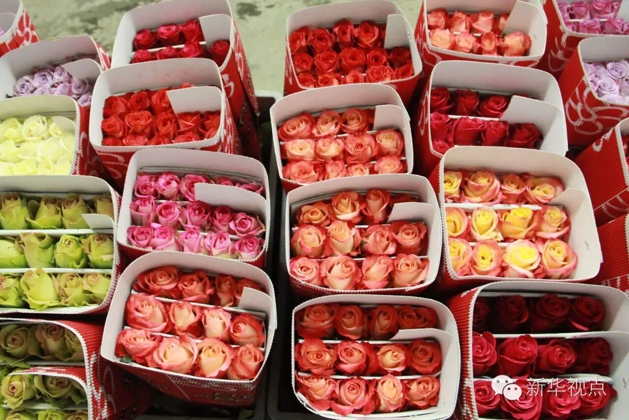 习主席出访的拉美三国，你知道多少