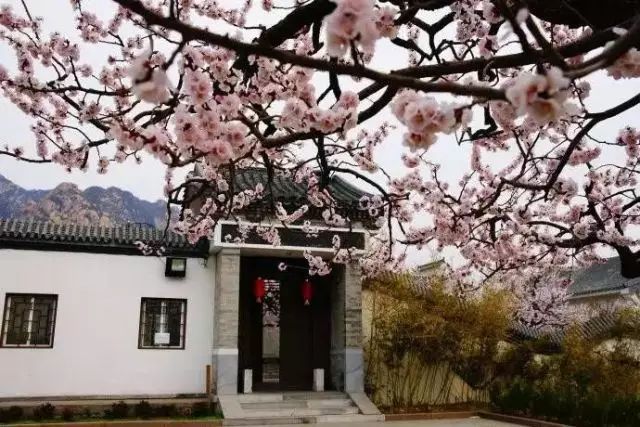 北京凤凰岭门票_北京凤凰岭自然风景区门票_北京凤凰岭景区门票优惠政策