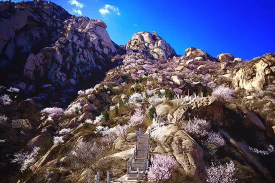 北京凤凰岭自然风景区门票_北京凤凰岭景区门票优惠政策_北京凤凰岭门票