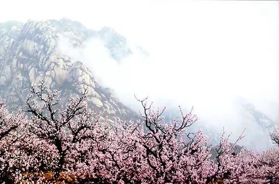 北京凤凰岭自然风景区门票_北京凤凰岭门票_北京凤凰岭景区门票优惠政策