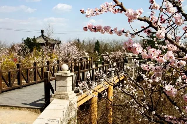 北京凤凰岭门票_北京凤凰岭自然风景区门票_北京凤凰岭景区门票优惠政策