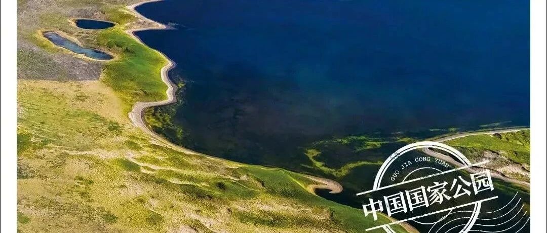 ϵͷҽУ2022мƻ֮һͼƬ