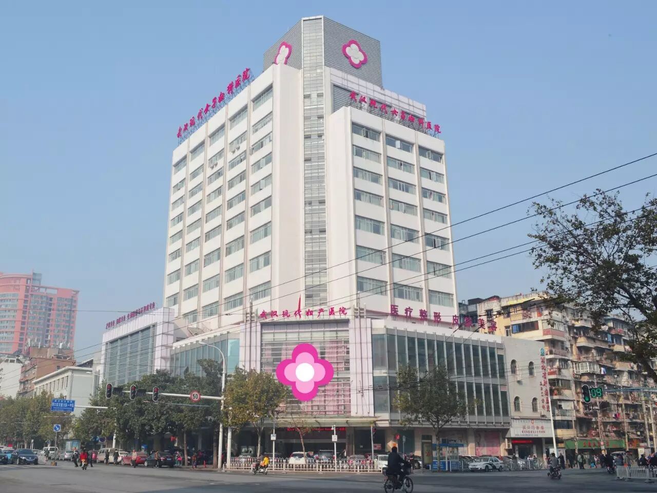 What?!不排卵你还想怀孕?-怀孕期