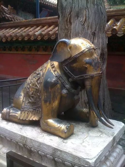 萌呆了故宫里的那些神兽竟然是干这些活儿的