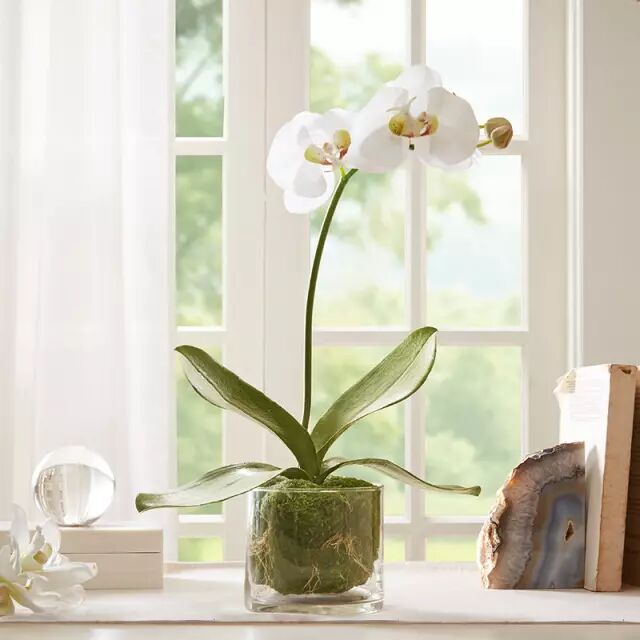 9本你一定要有的园艺宝典