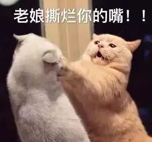 触目惊心！英国学生被洗脑 地铁站投放自制炸弹！