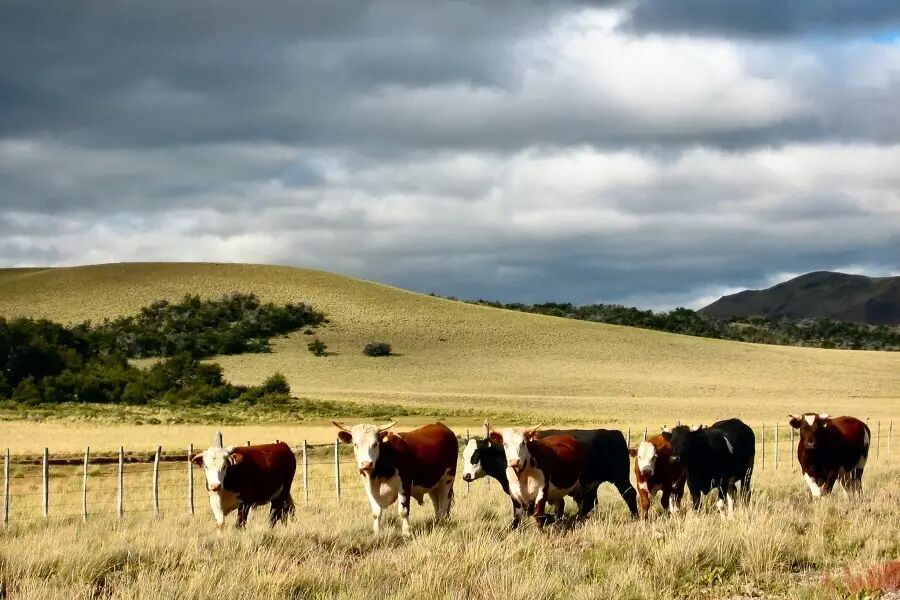 中国护照又升值啦！这个国家对中国开放十年签证