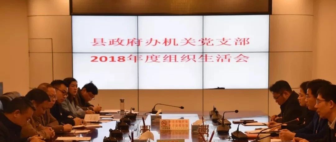 胡军等县政府领导以普通党员身份参加政府办机关党支部组织生活会