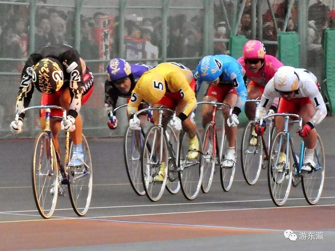 东京自由行攻略热点文章，日本赌场-游东瀛-日本当地专业旅游地接社