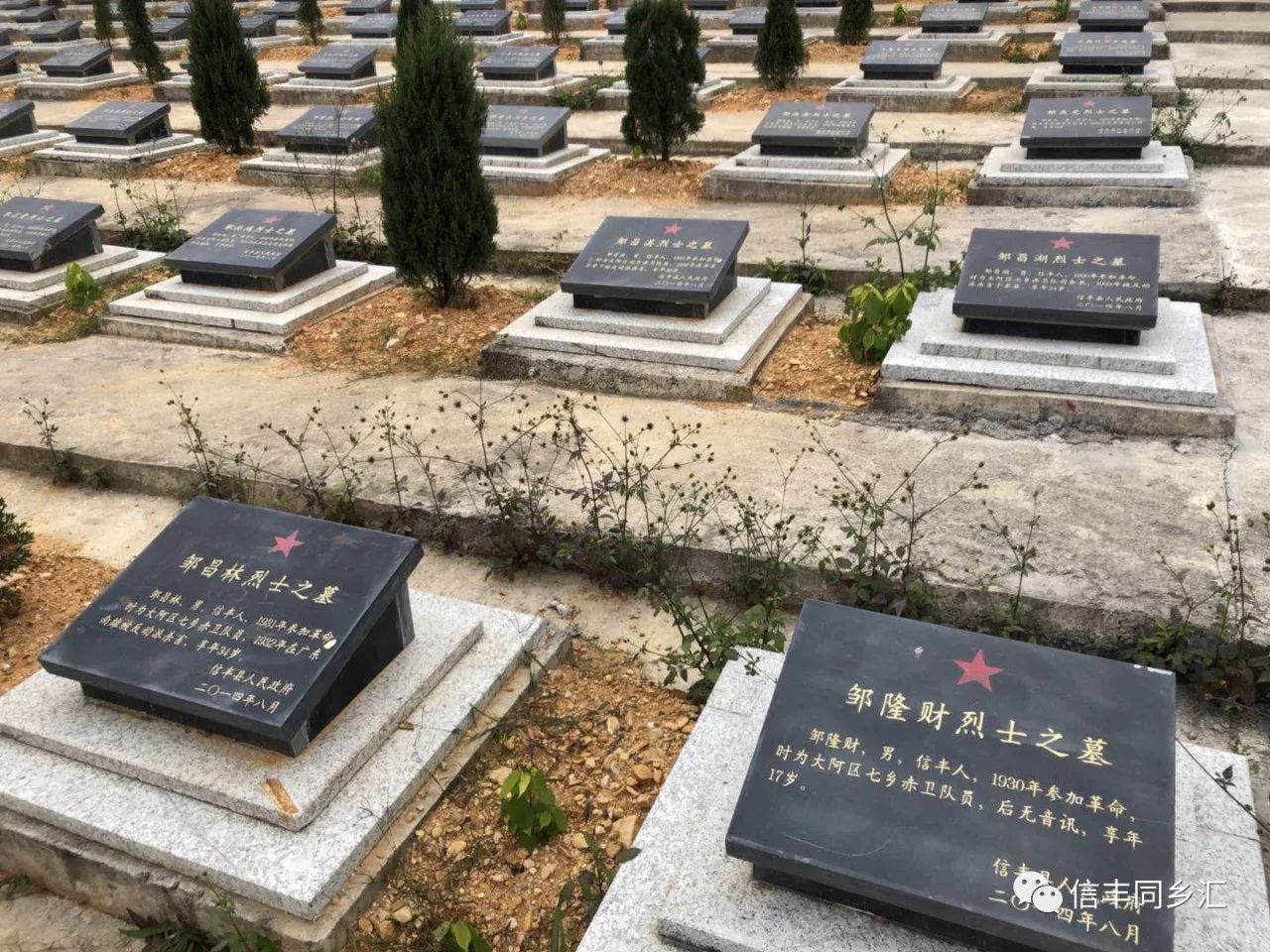公益,有兴趣跟我们一起玩的朋友, 加信丰同乡汇·四眼小编微信进群
